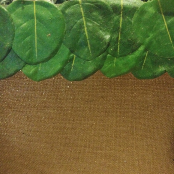 Rare Starbucks Store Christmas Display - Picture 4 of 7